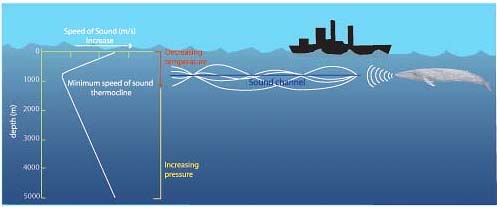 NOAA SOFAR Illustration